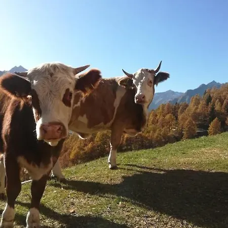Angstingeralm *